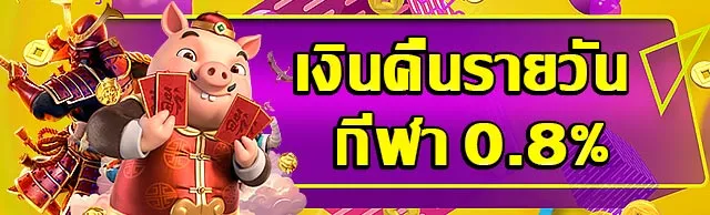 เงินคืนรายวัน by victory996